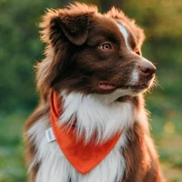 Дизайн с душой