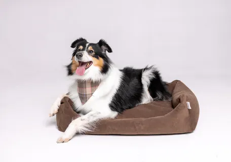 Лежанки и матрасы